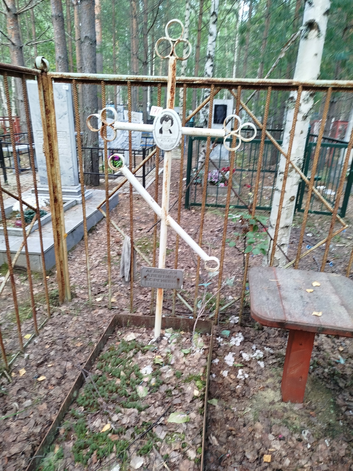 Аглицкая Алевтина Георгиевна