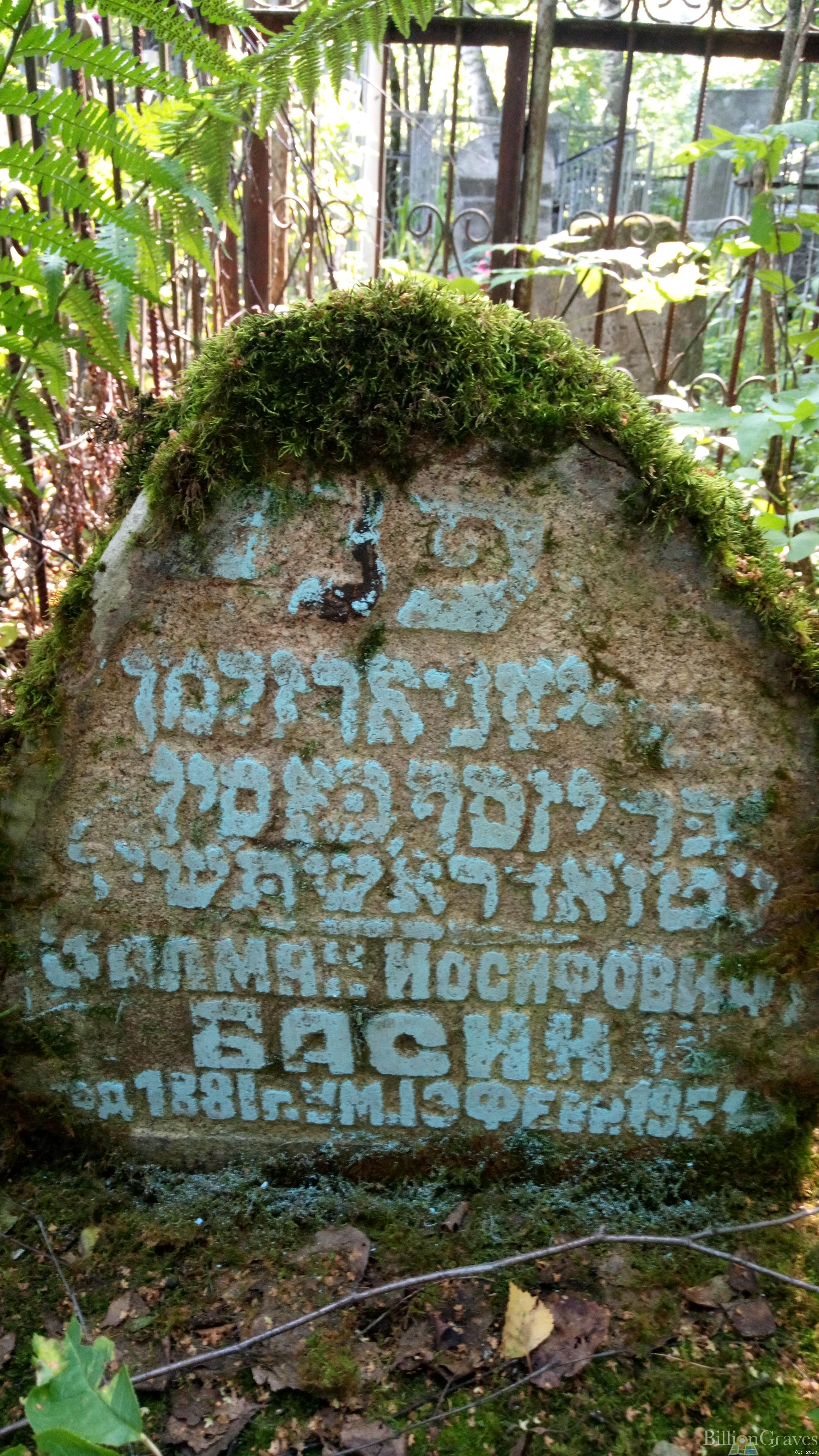 Басин Залман Иосифович