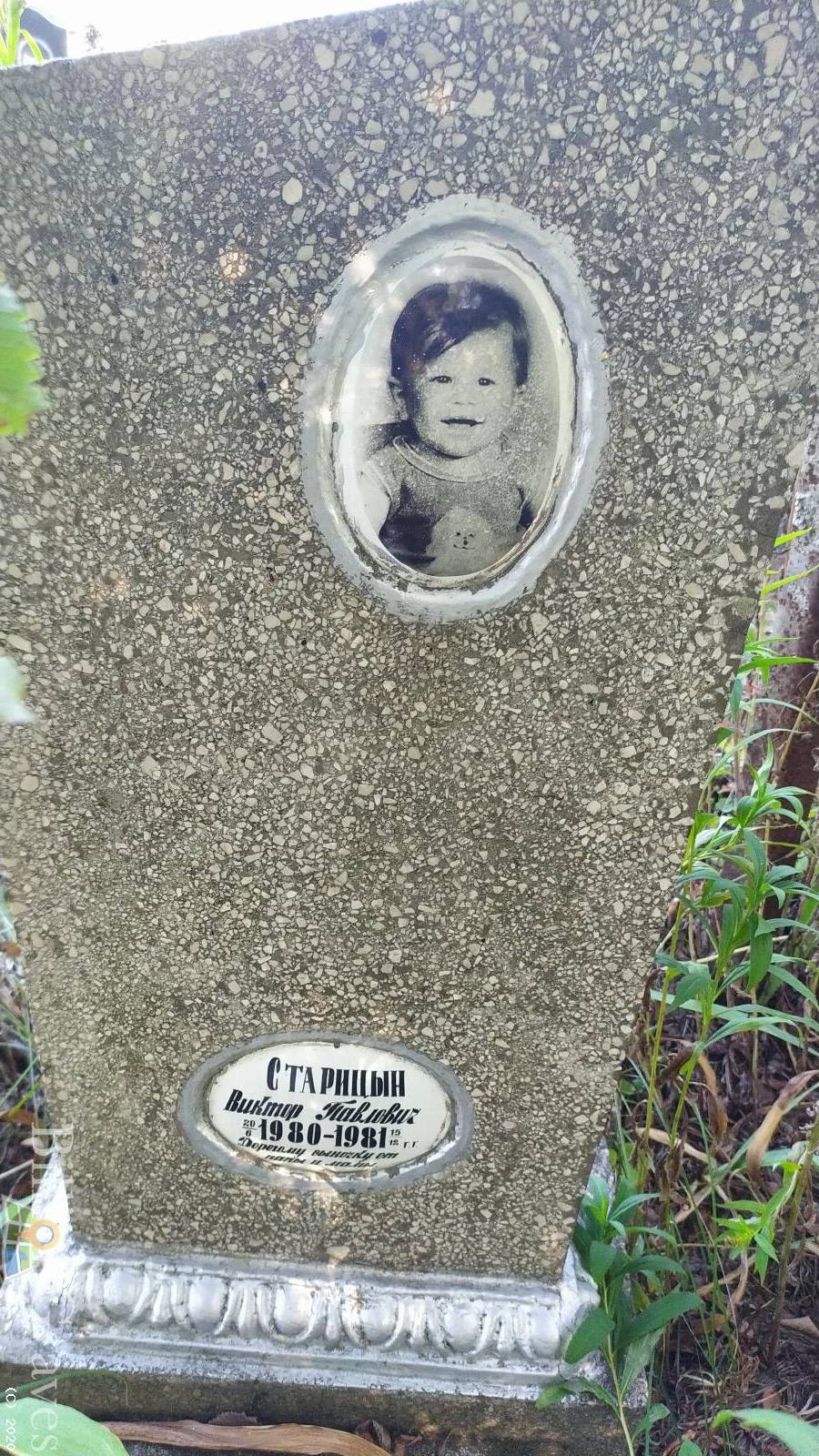 Старицын Виктор Павлович