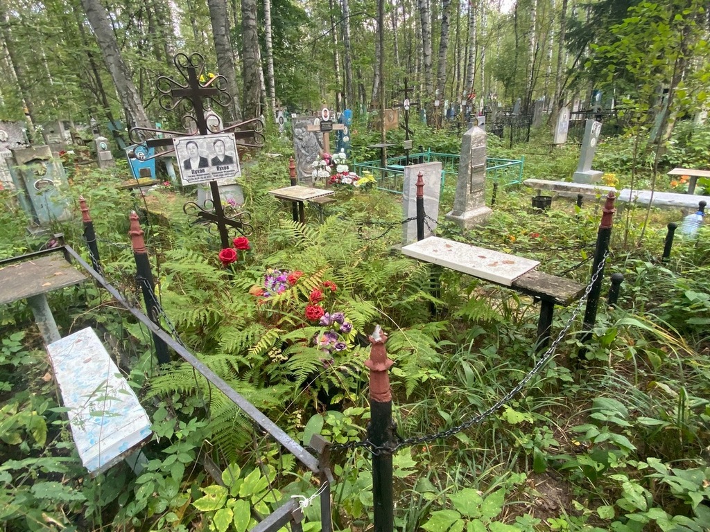 Пухов Александр Федорович