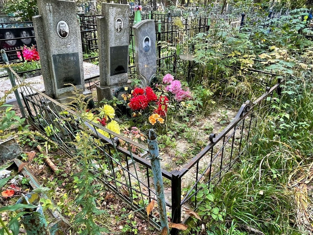 Сергеева Евгения Ивановна
