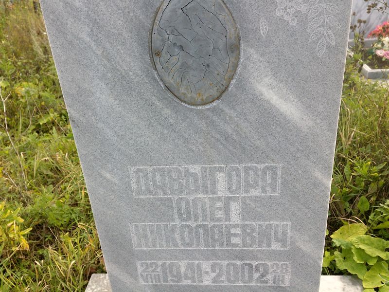 Давыгора