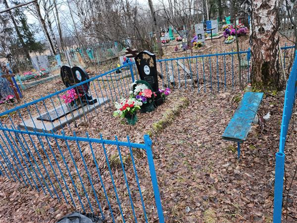 Бородавка Николай Михайлович