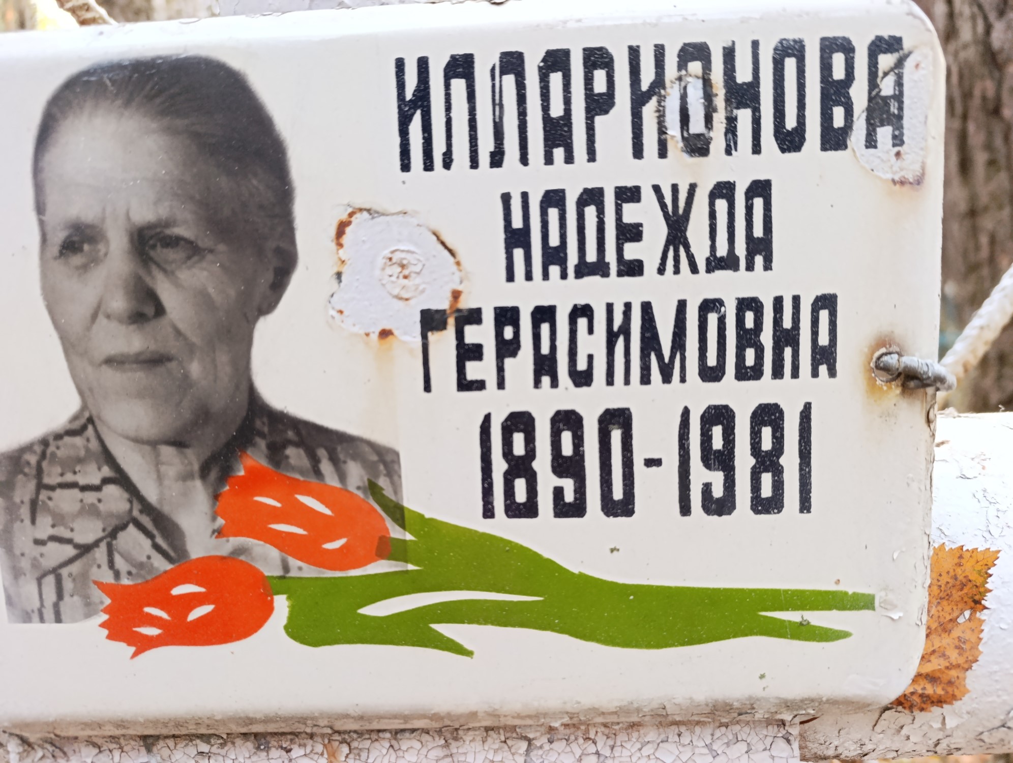 Илларионова Надежда Герасимовна