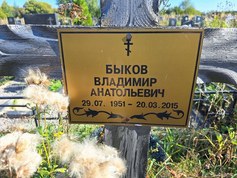 Быков