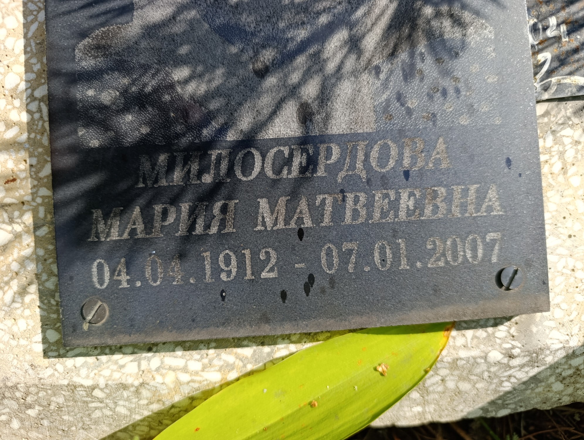 Милосердова Мария Матвеевна