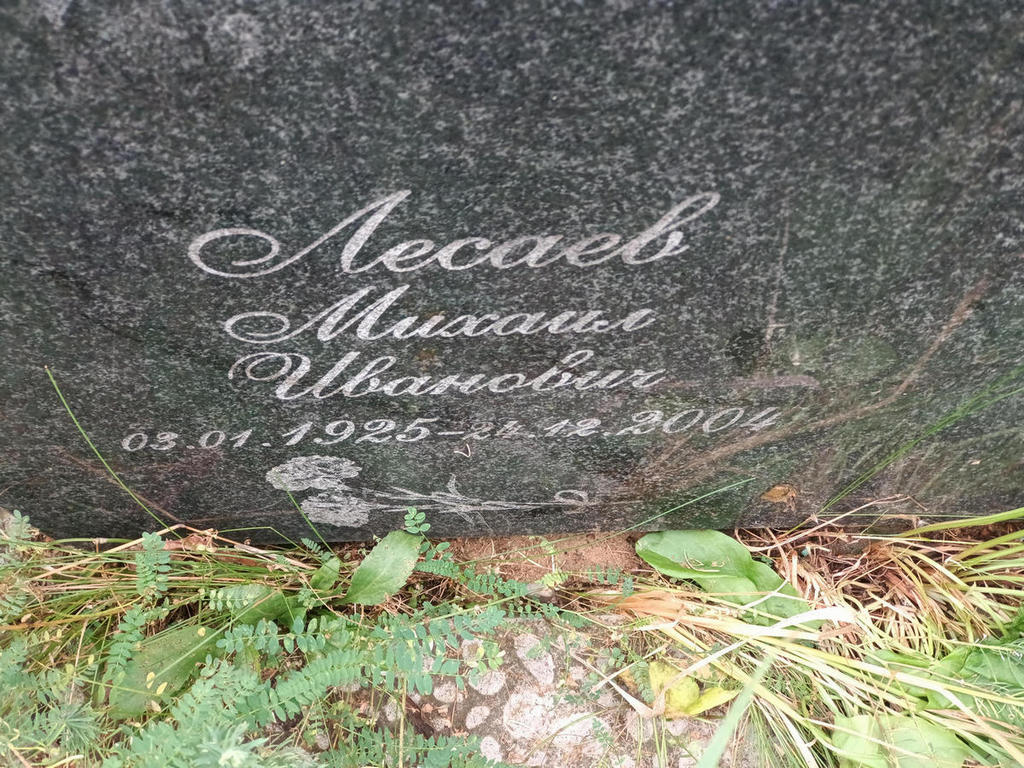 Лесаев Михаил Иванович