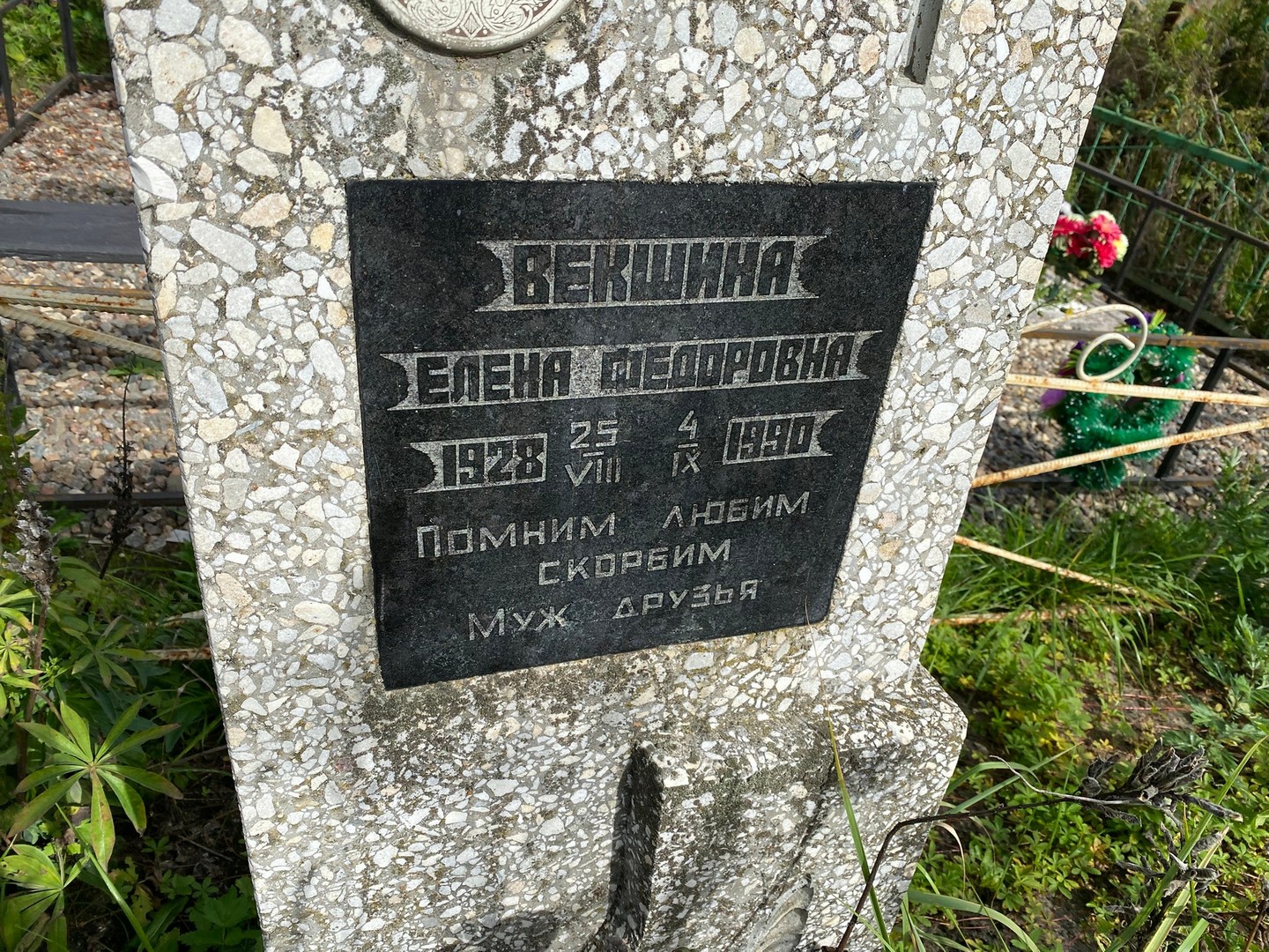 Векшина