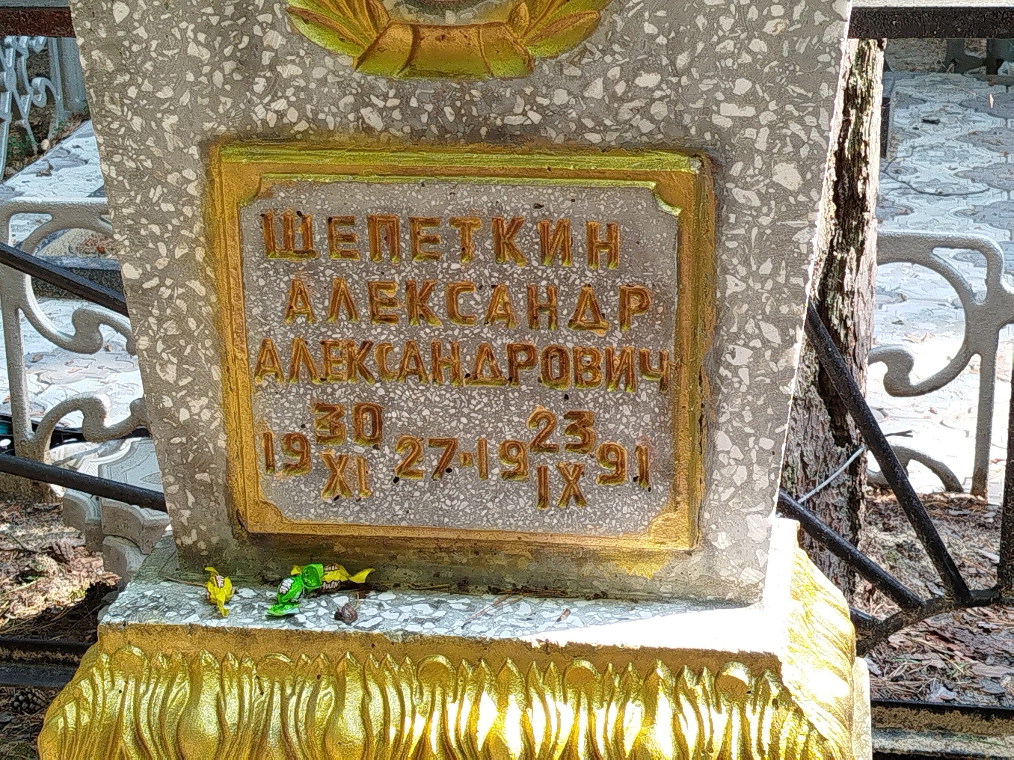Щепеткин Александр Александрович