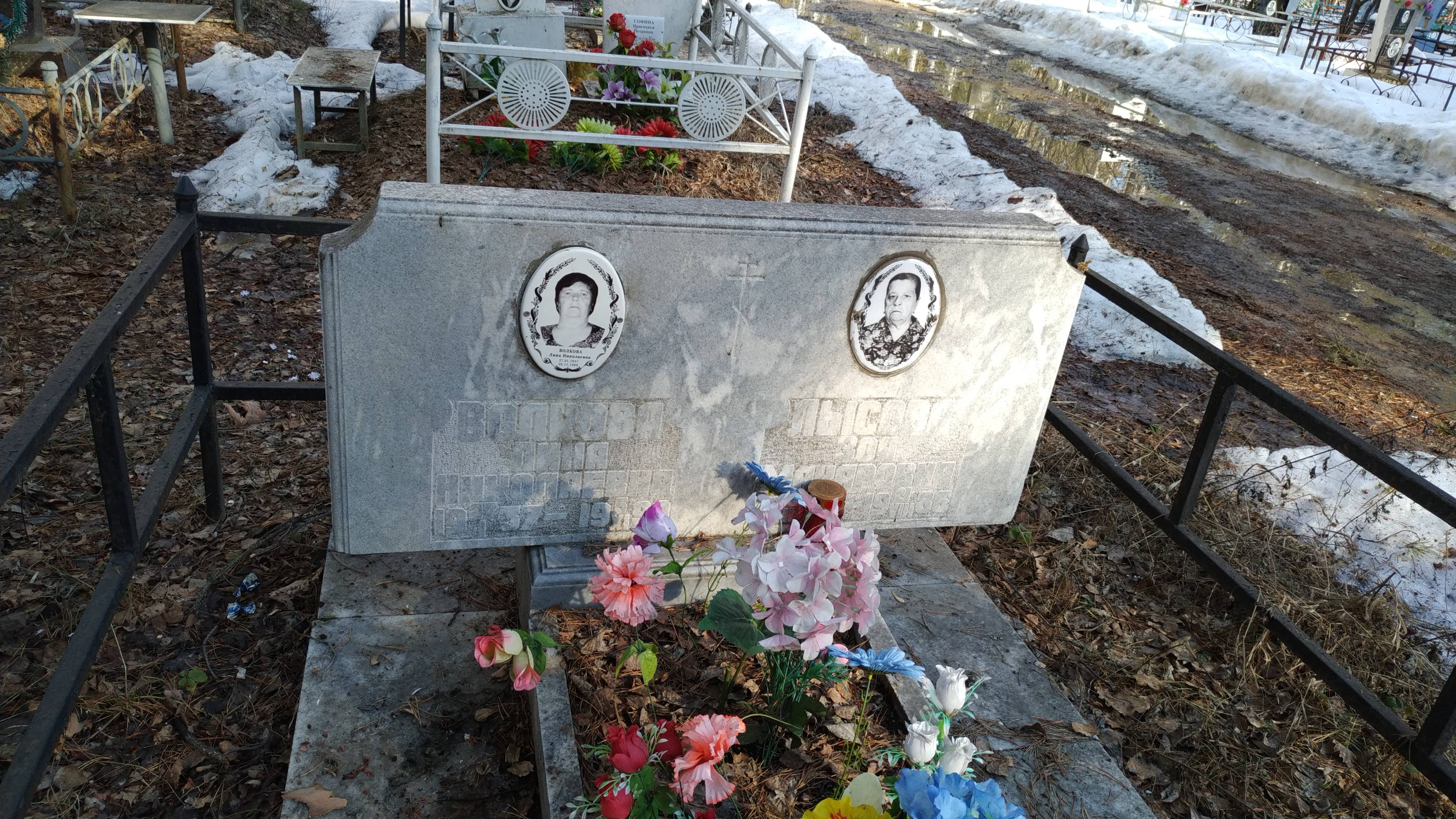 Волкова Лина Николаевна