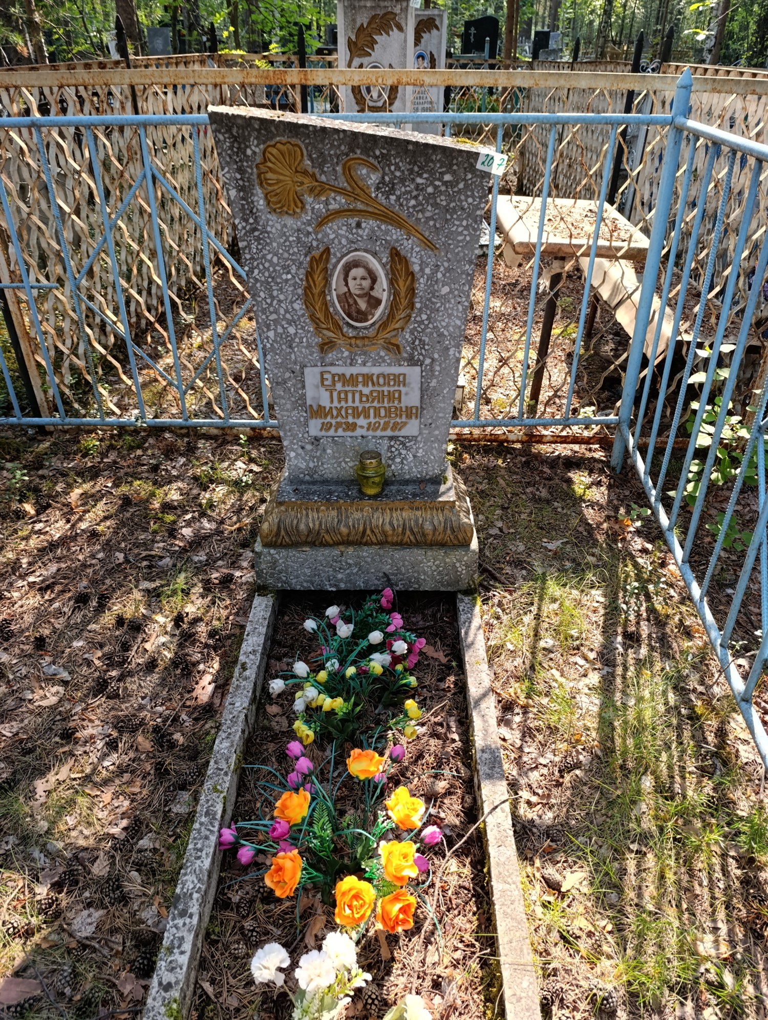Ермакова Татьяна Михайловна
