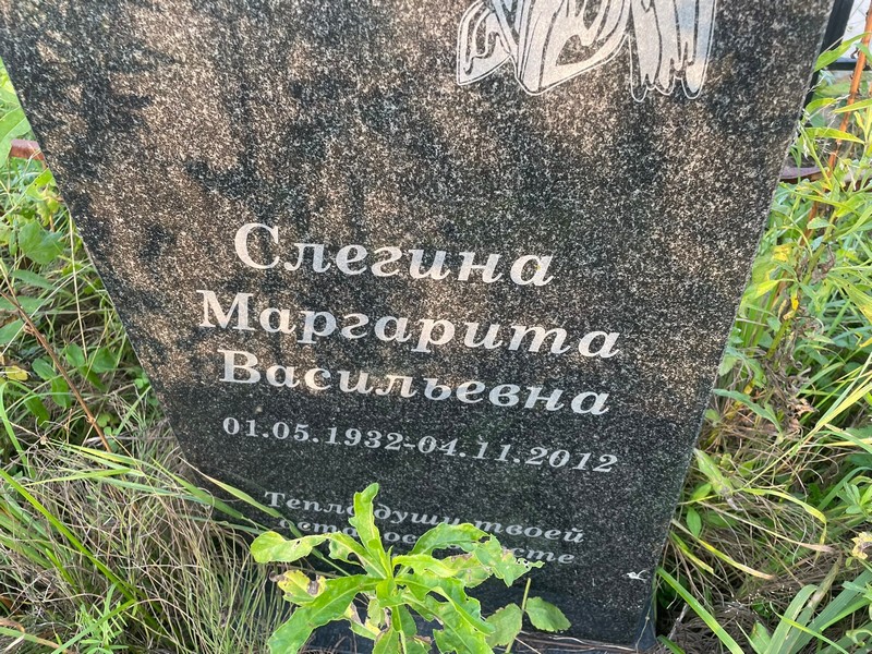 Слегина