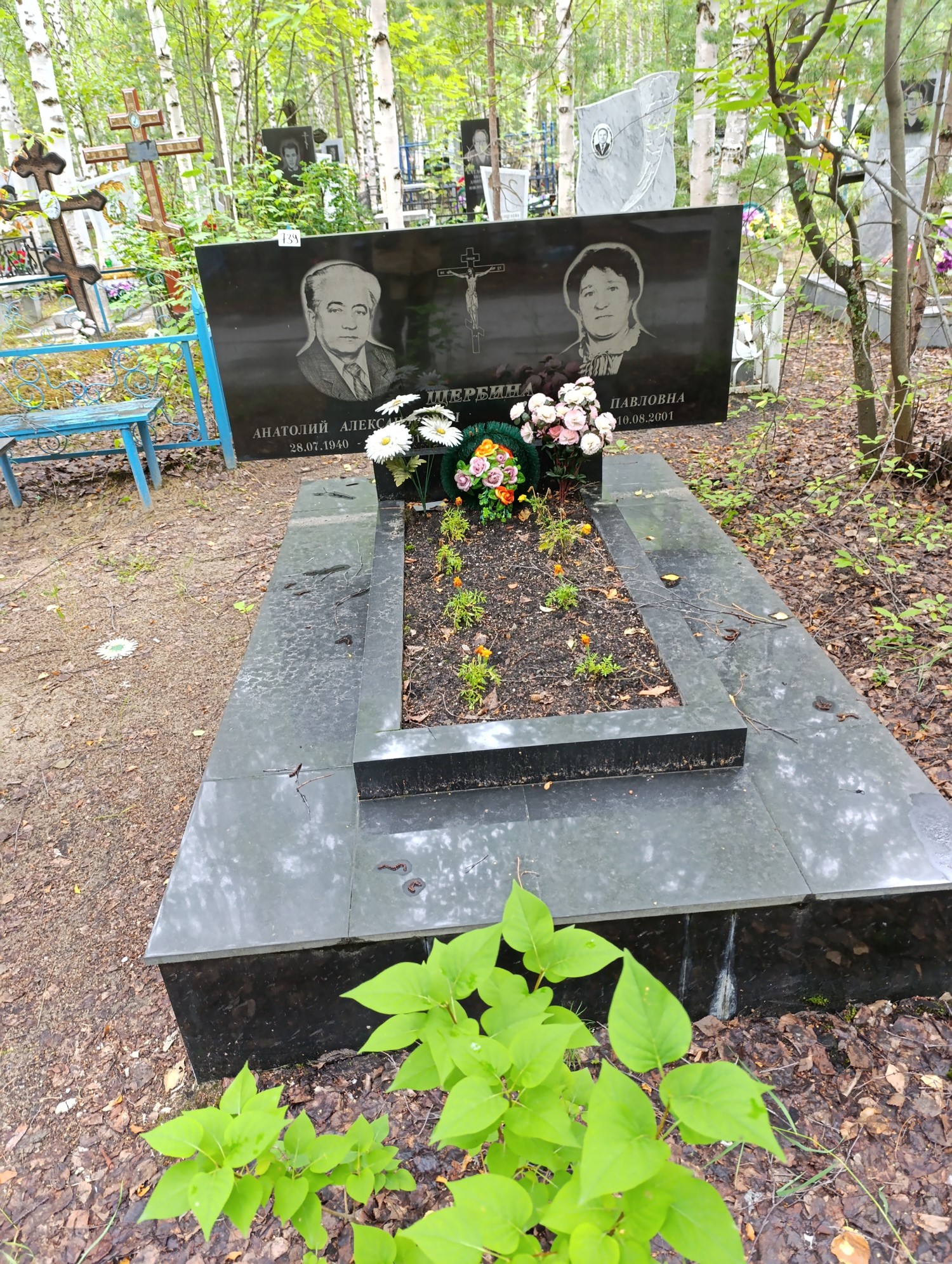 Щербина Анатолий Александрович