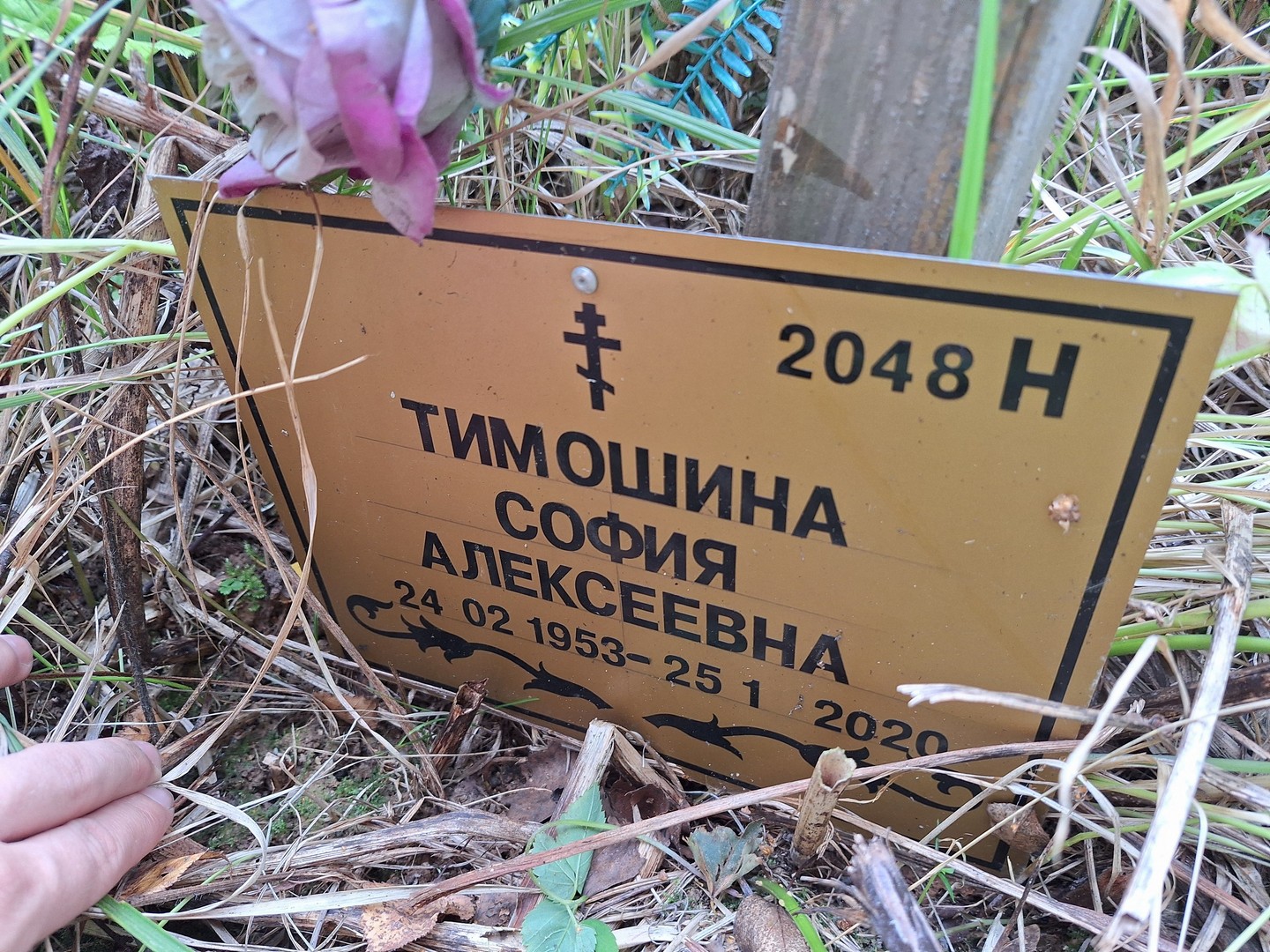 София Тимошина Алексеевна