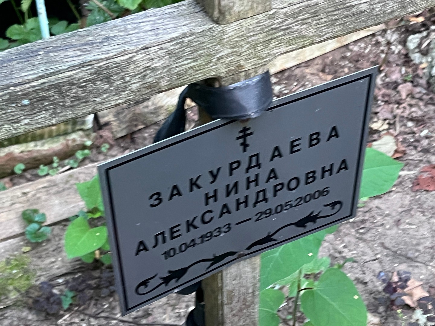 Закурдаева