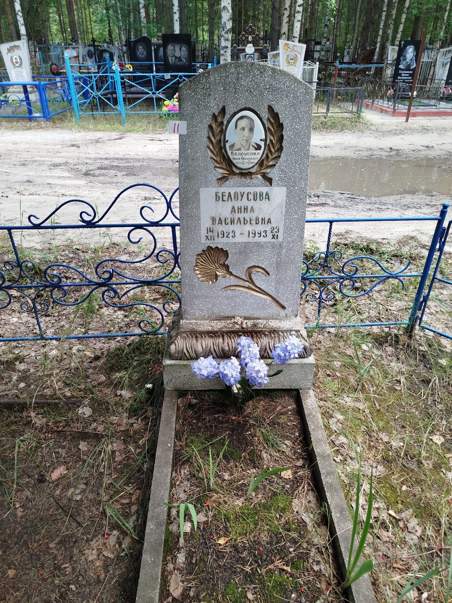 Белоусова Анна Васильевна