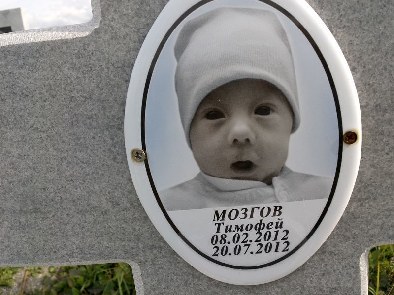 Мозгов Тимофей