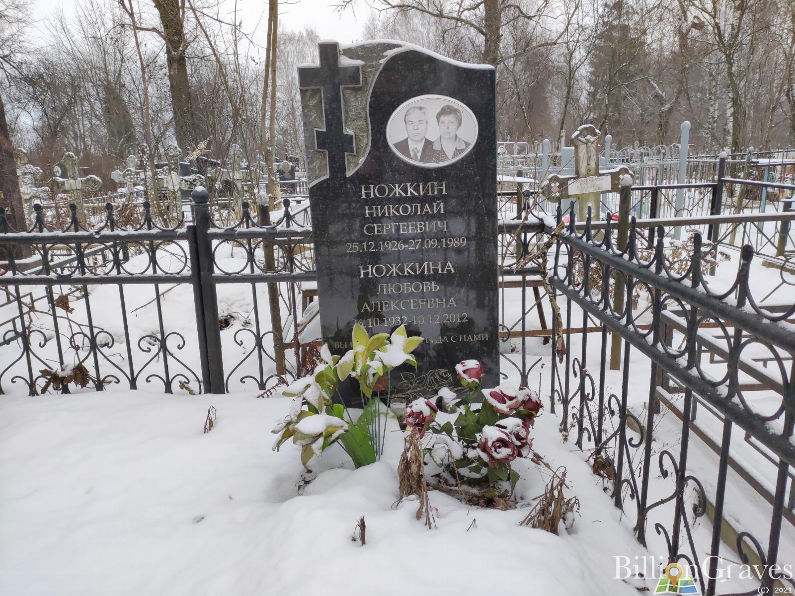 Ножкина Любовь Алексеевна