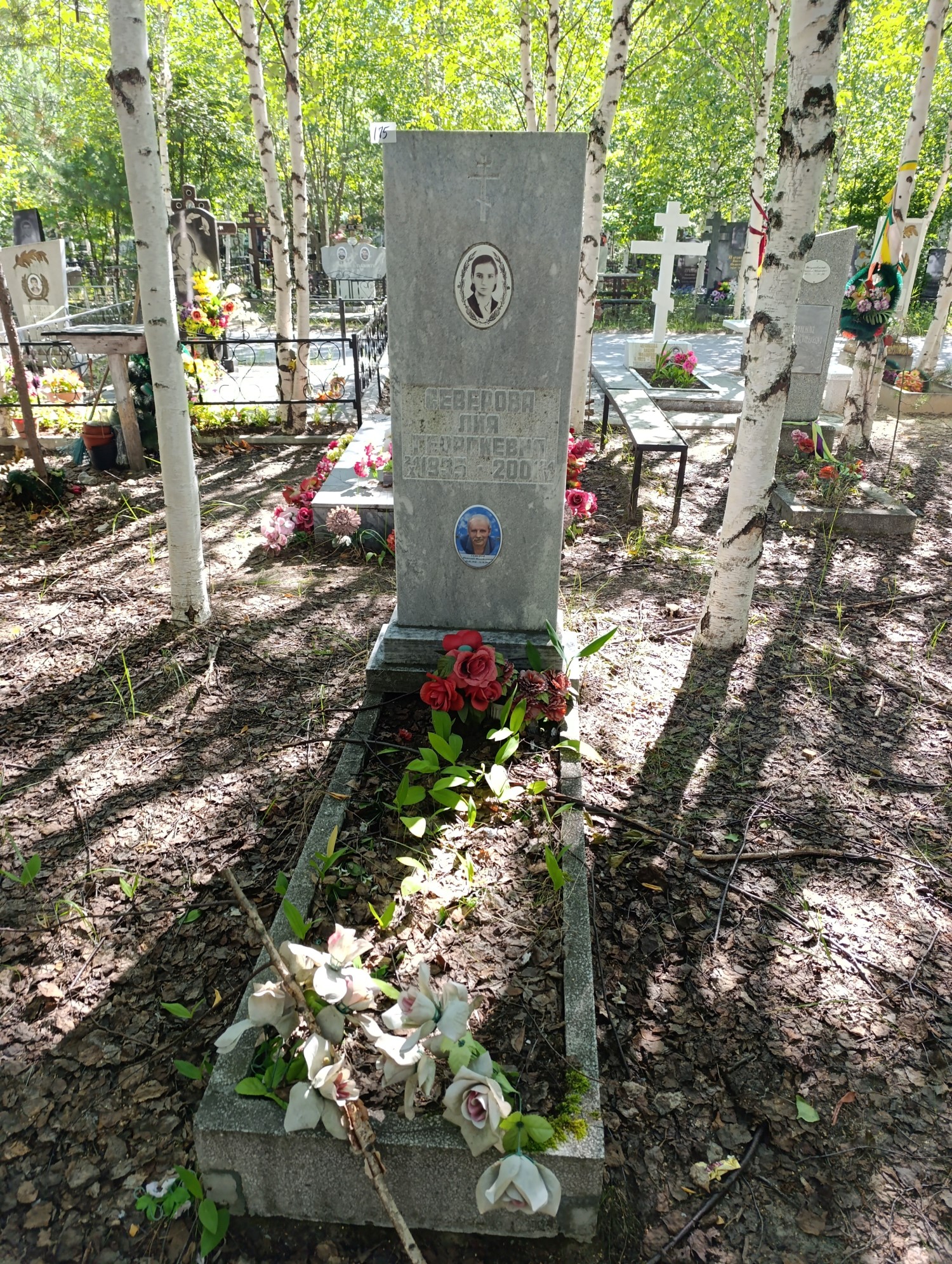 Северов Николай Михайлович