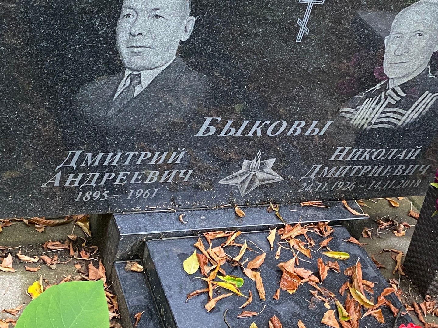 Быков