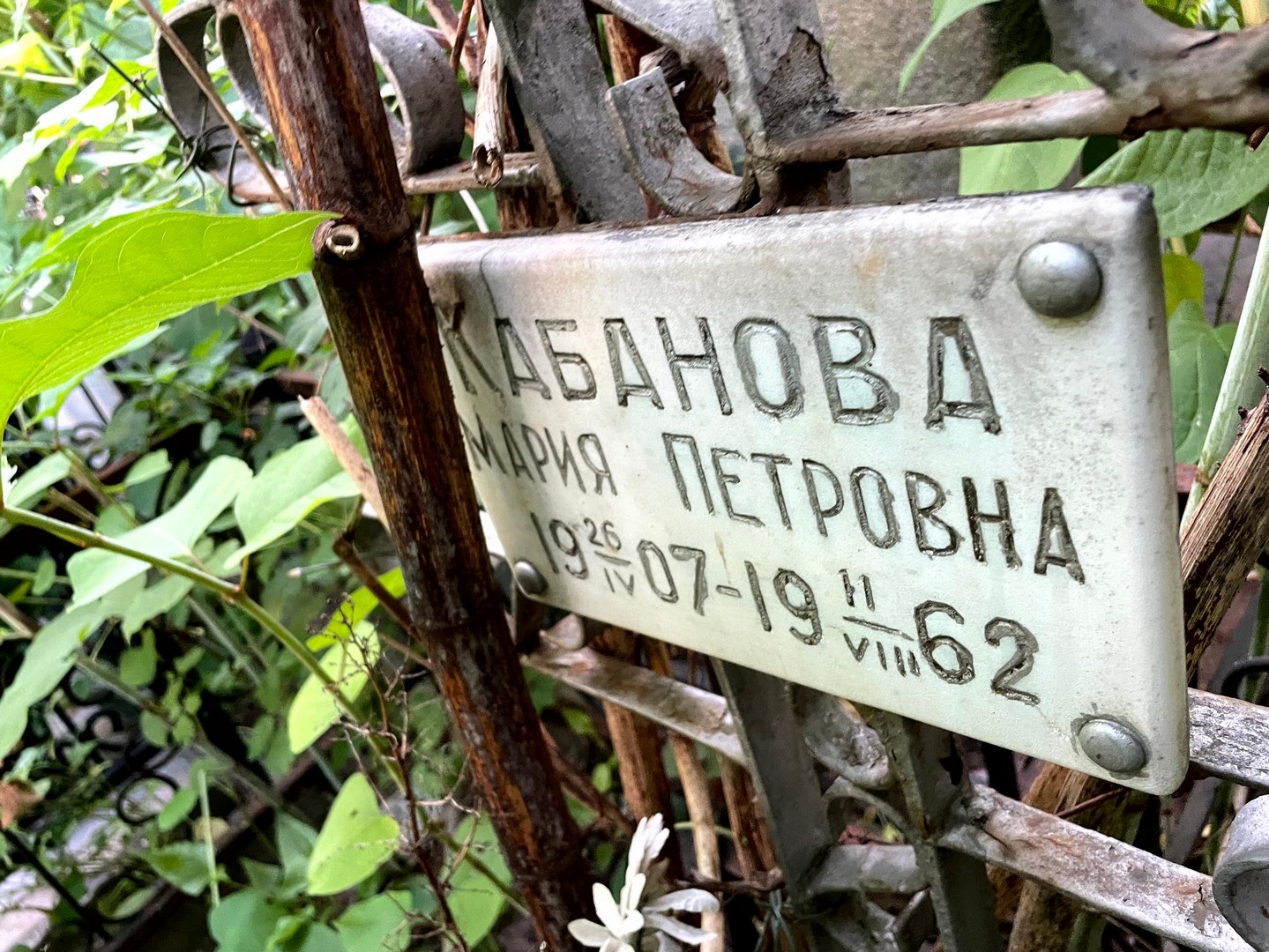 Кабанова