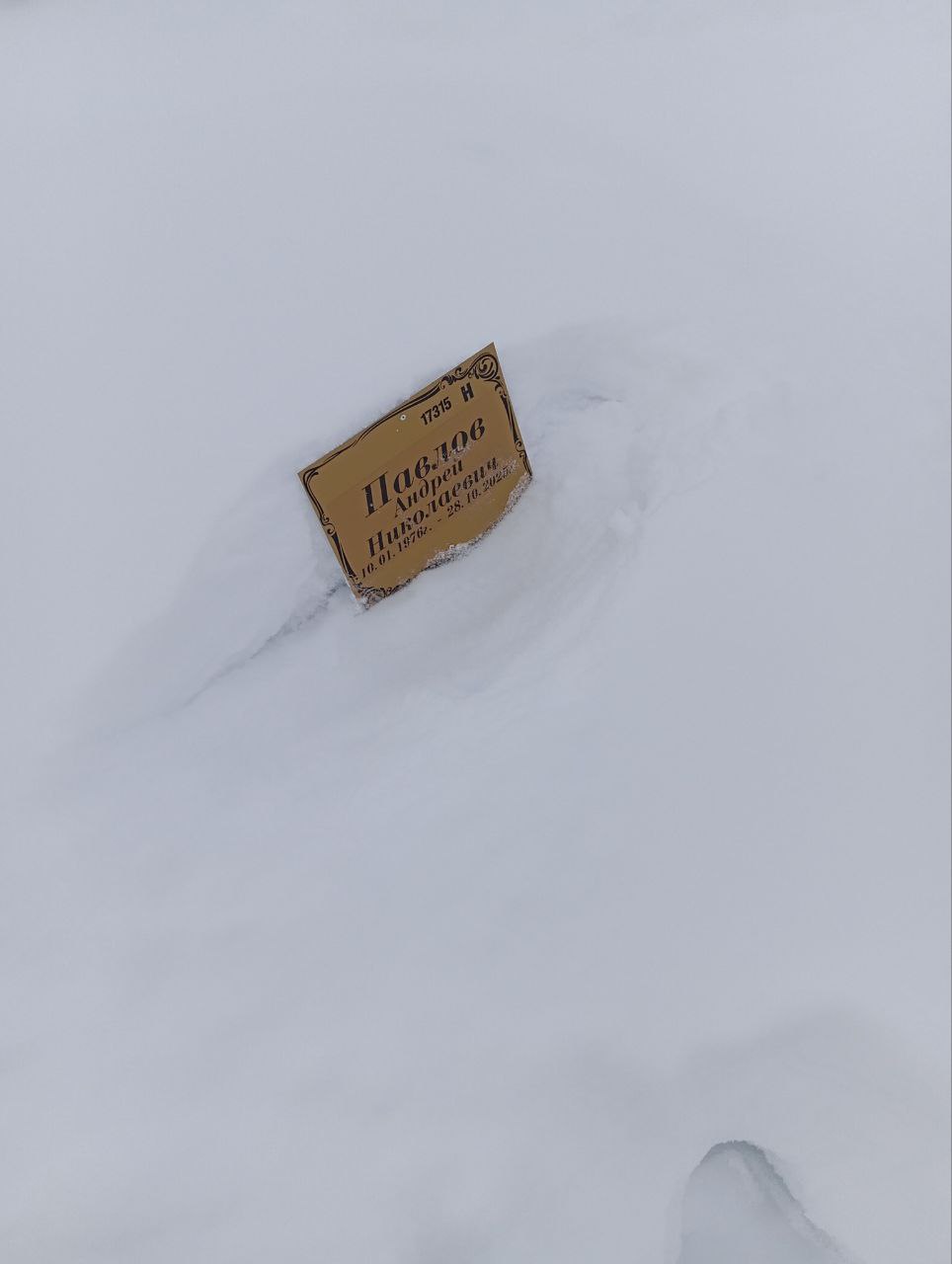 Павлов