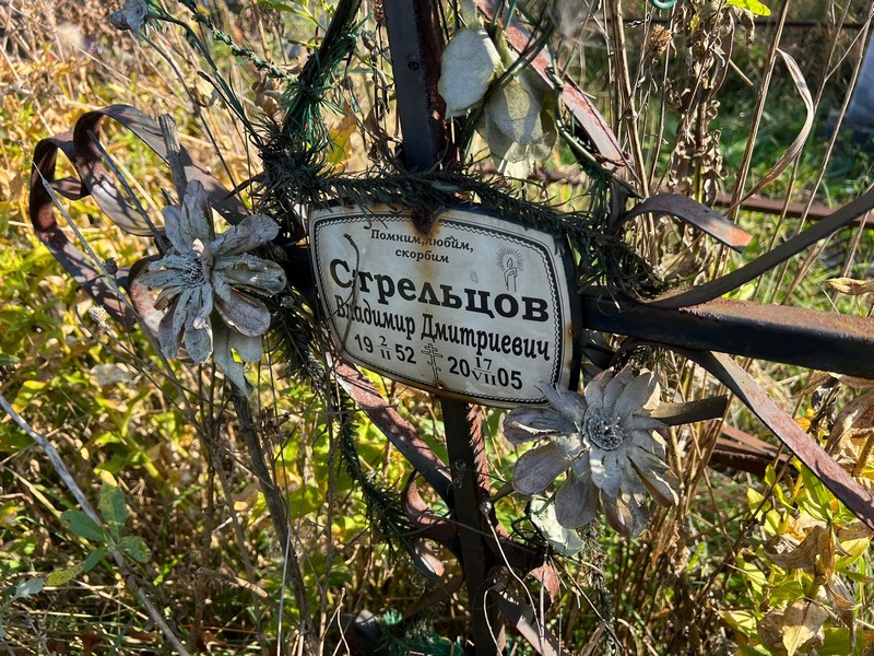 Стрельцов