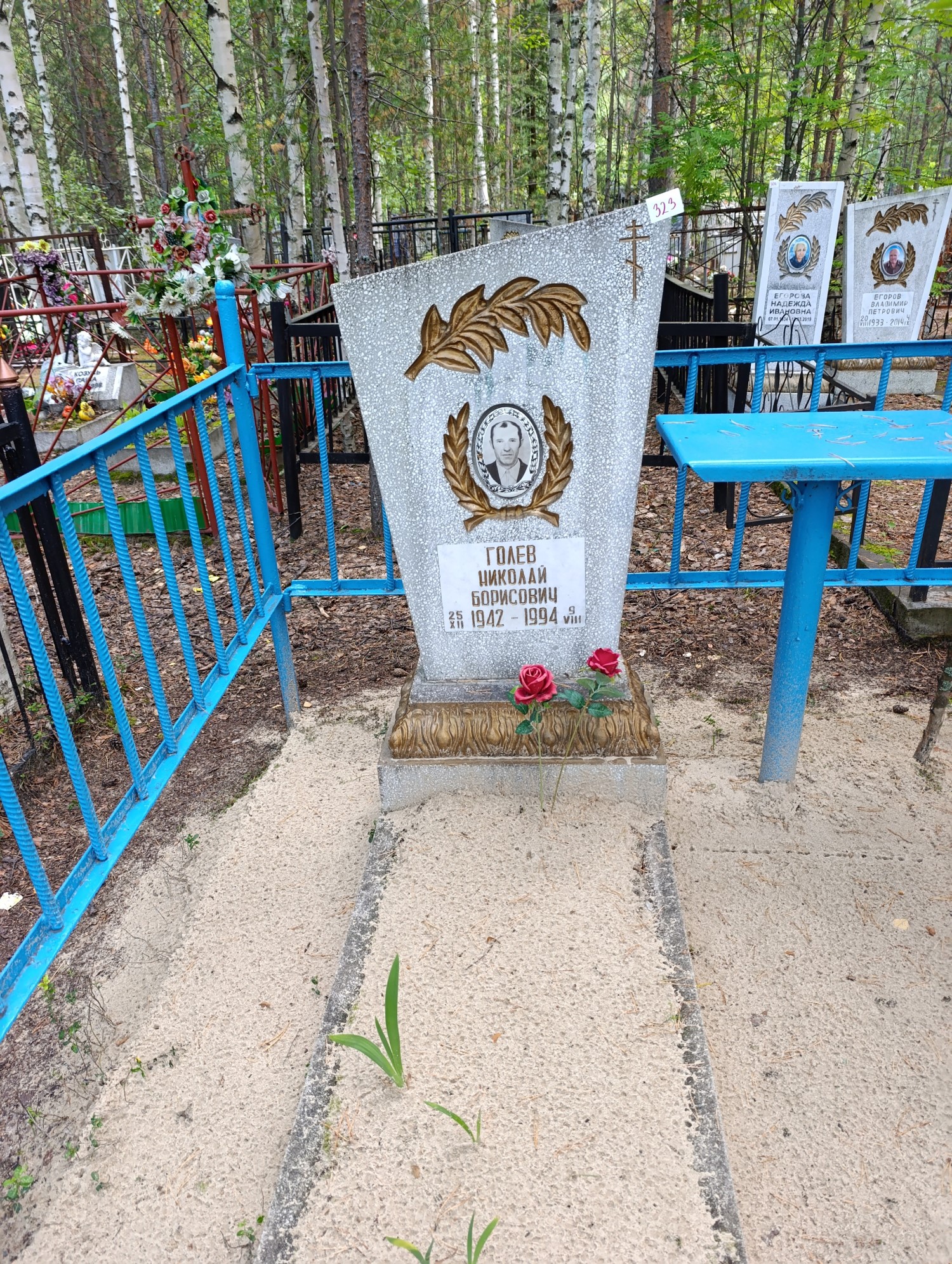 Голев Николай Борисович