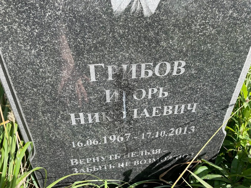 Грибов