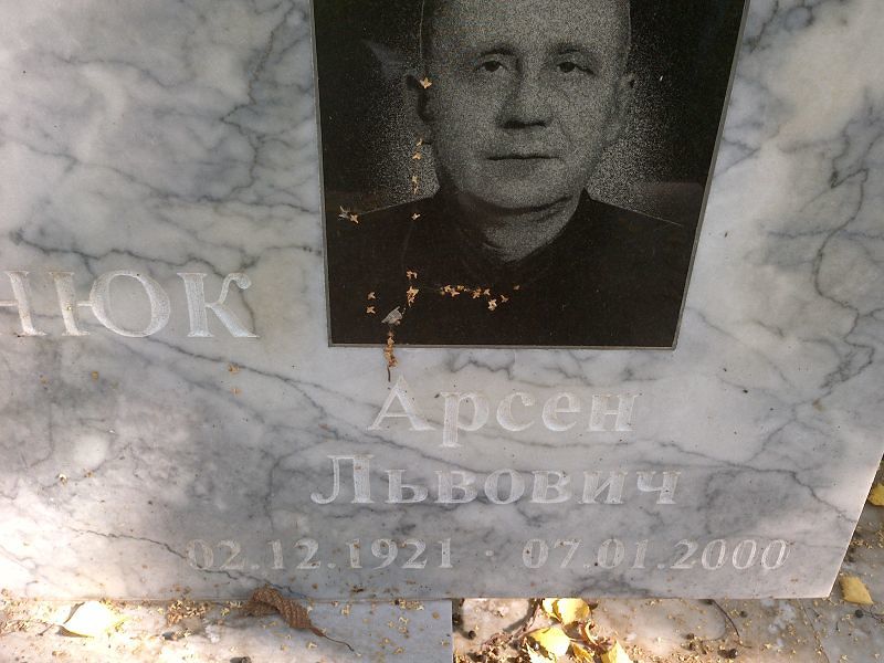 Львович Арсен