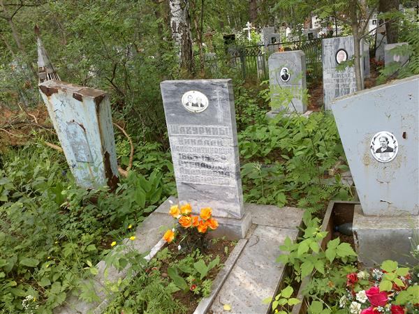 Шахурина Анастасия Николаевна