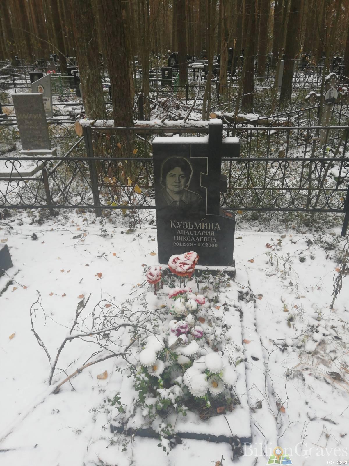 Кузьмина Анастасия Николаевна