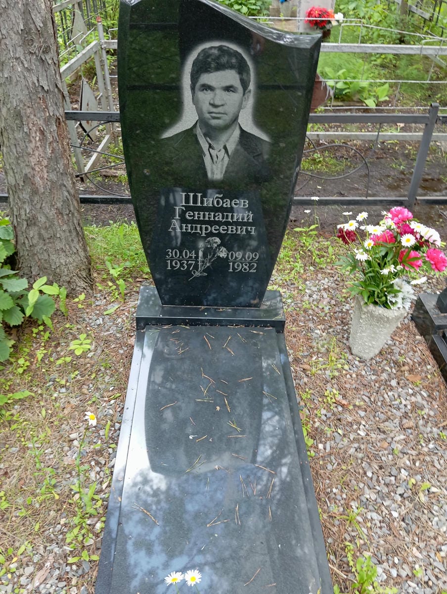 Шибаев Геннадий Андреевич