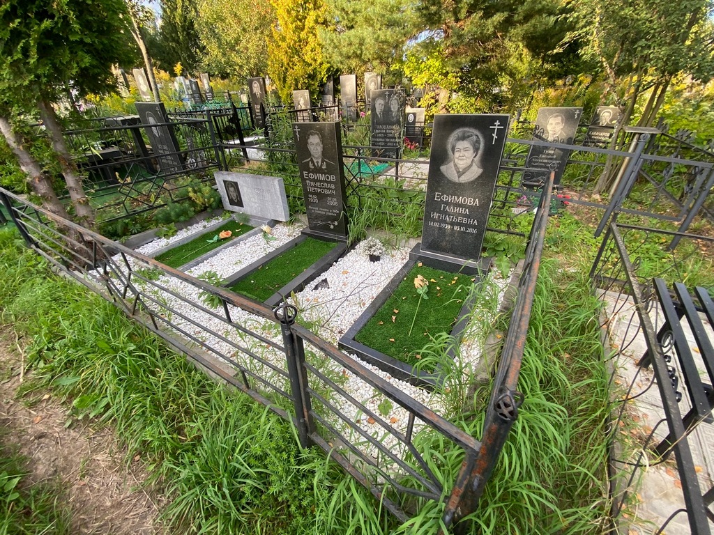 Фиалковская Вероника Владимировна