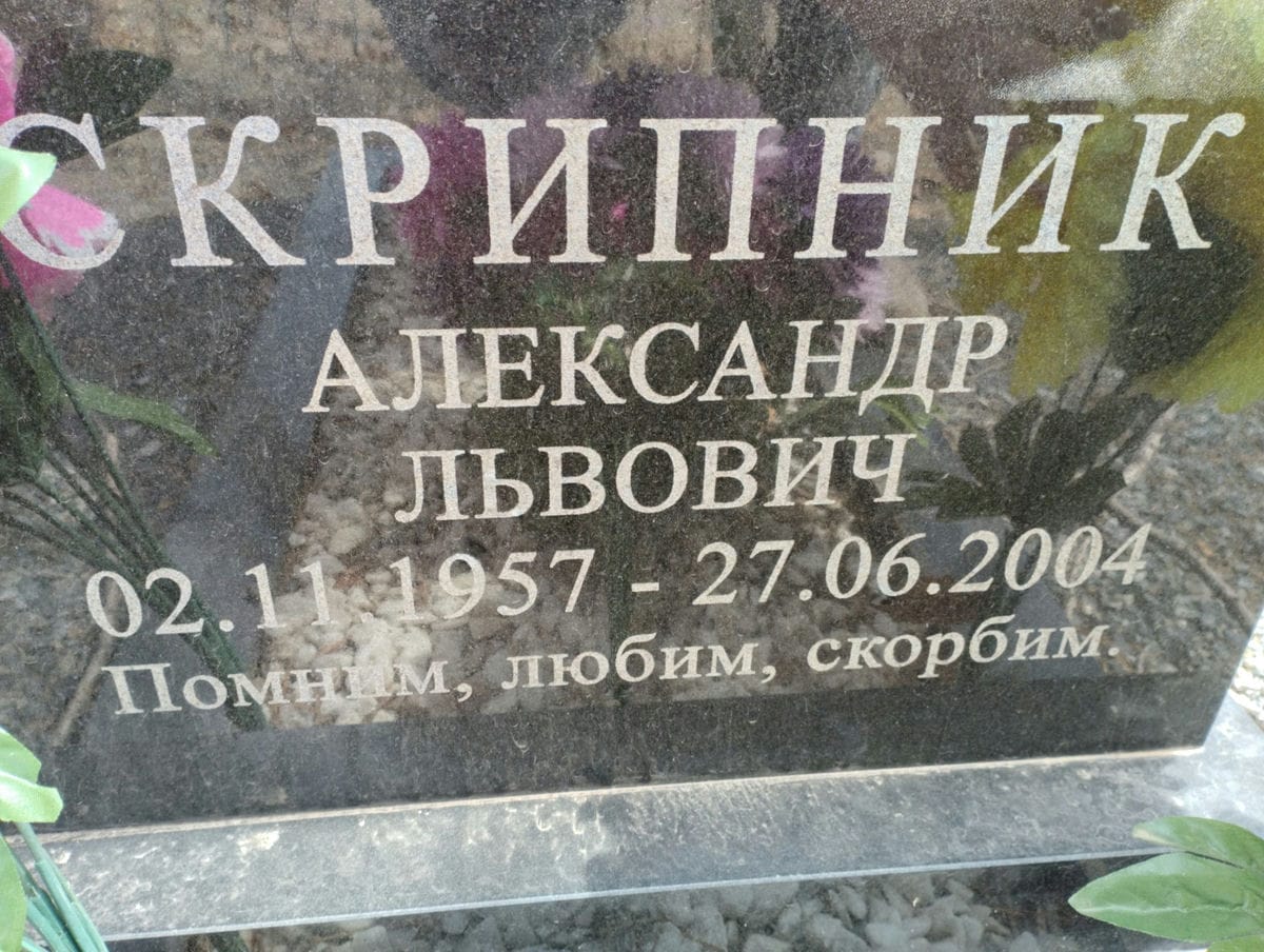 Скрипник Александр Львович