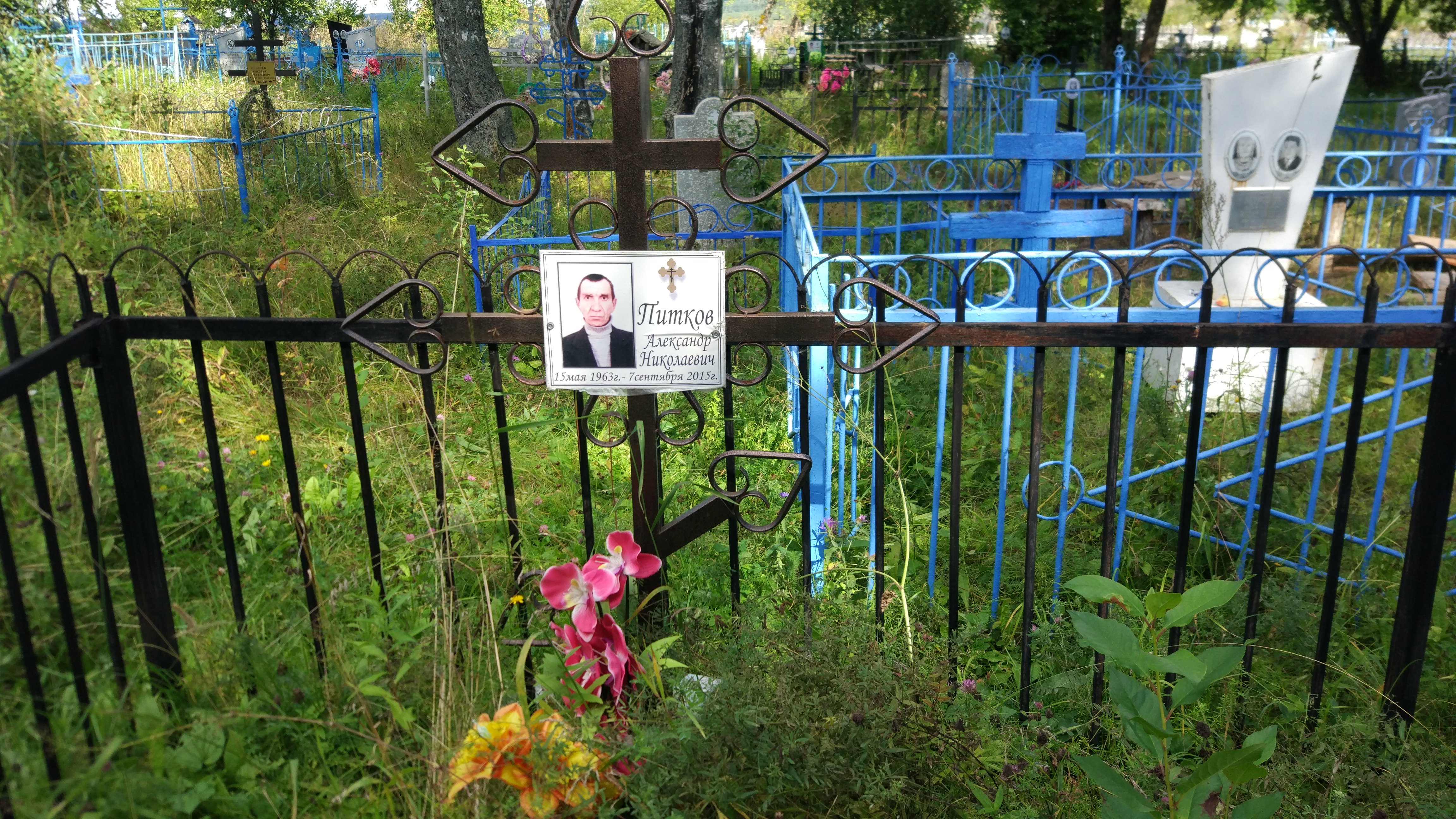 Питков Александр Николаевич