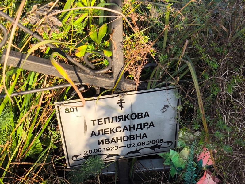 Теплякова Александра Ивановна