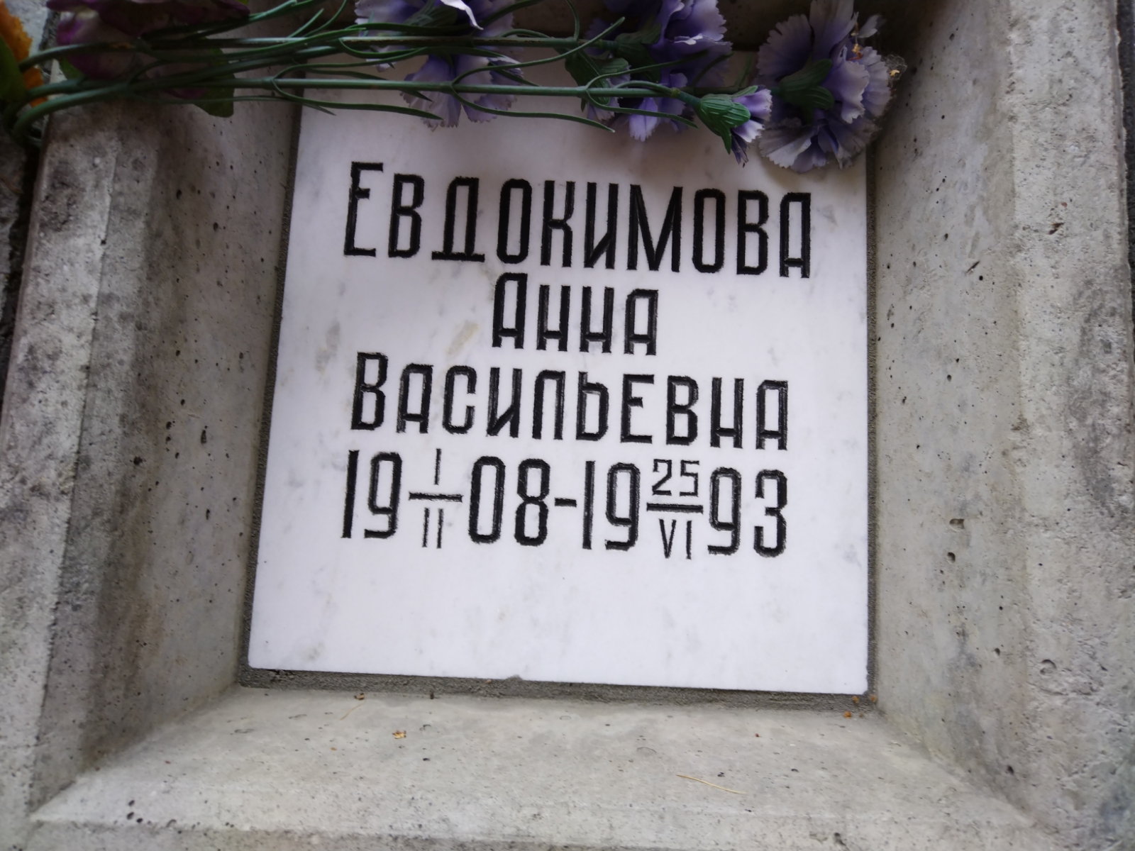 Евдокимова Анна Васильевна