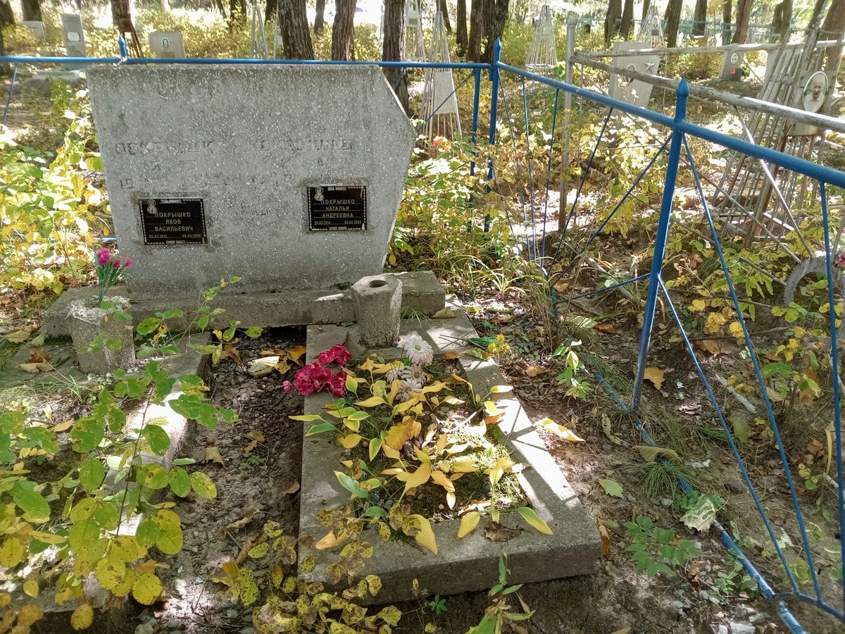 Покрышко Наталья Андреевна