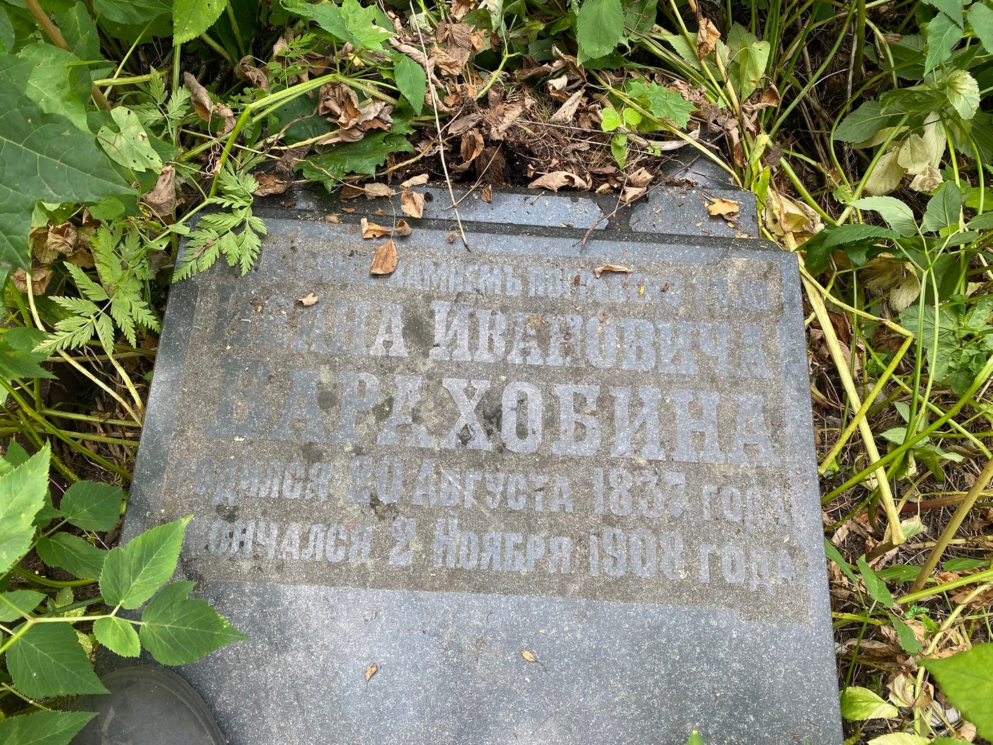 Барахобин