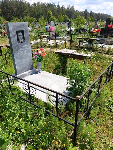 Шульгин Николай Иванович
