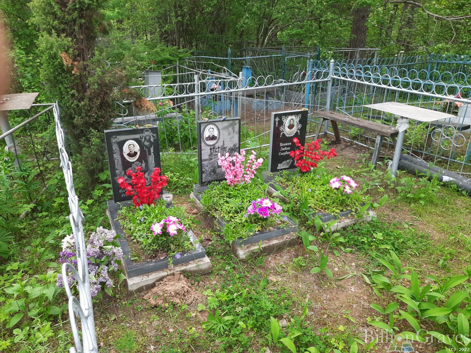 Виноградова Альвина Кирилловна