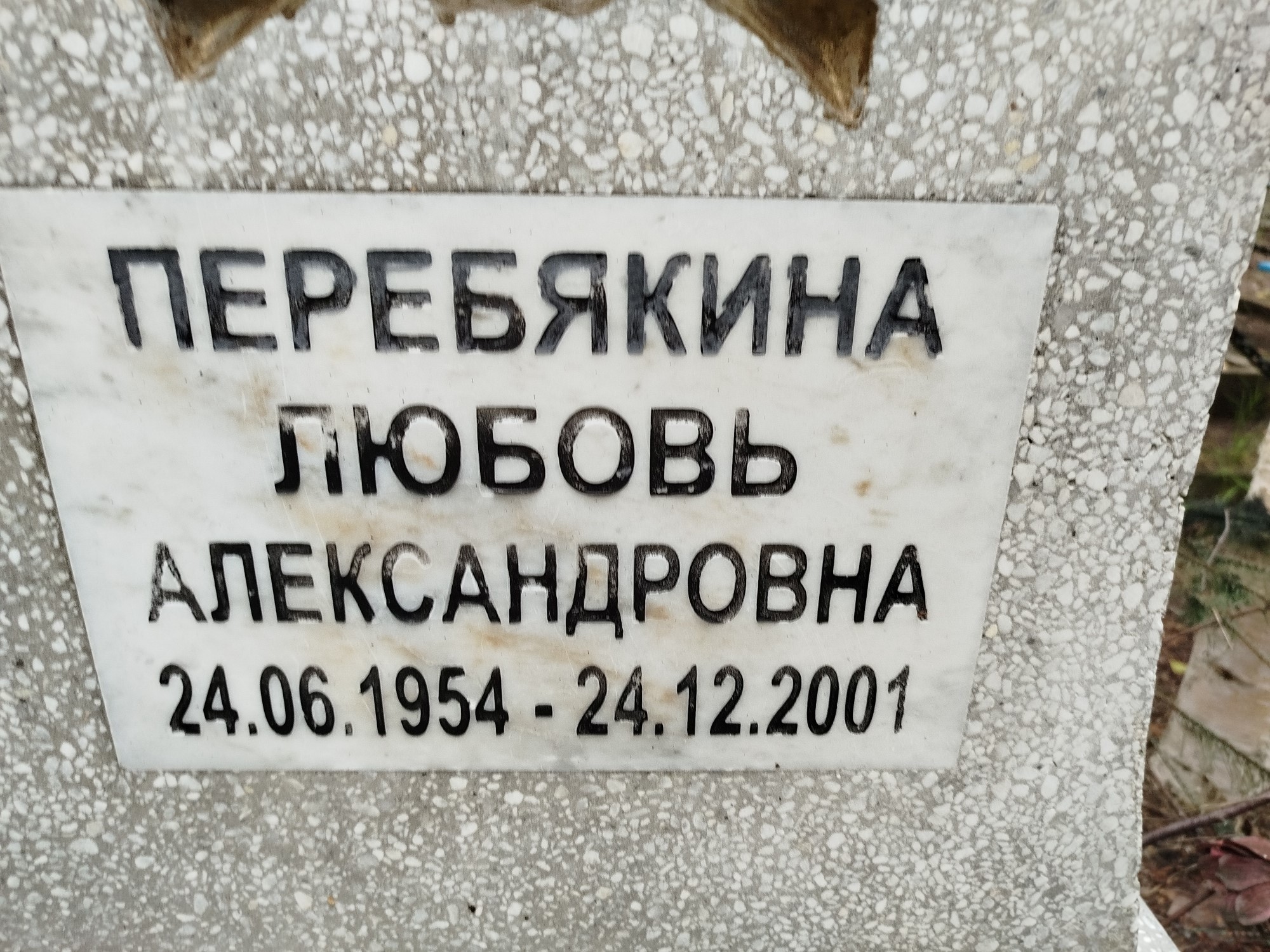 Перебякина Любовь Александровна