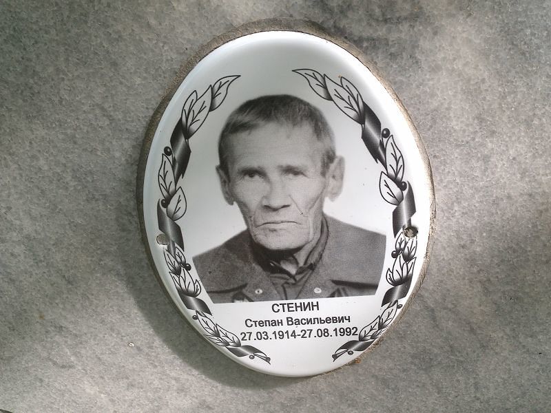 Стенин