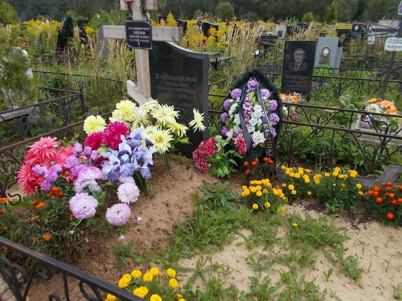 Владимирская Лидия Николаевна