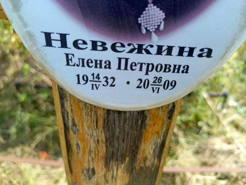 Невежина