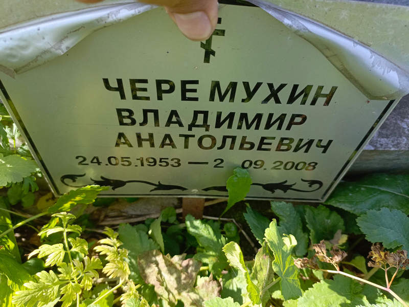 Чермухин