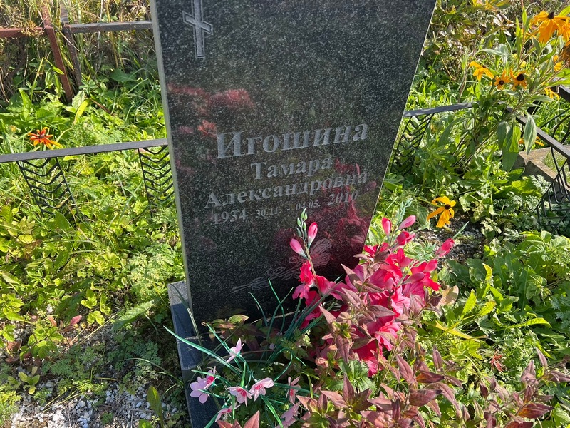 Игошина