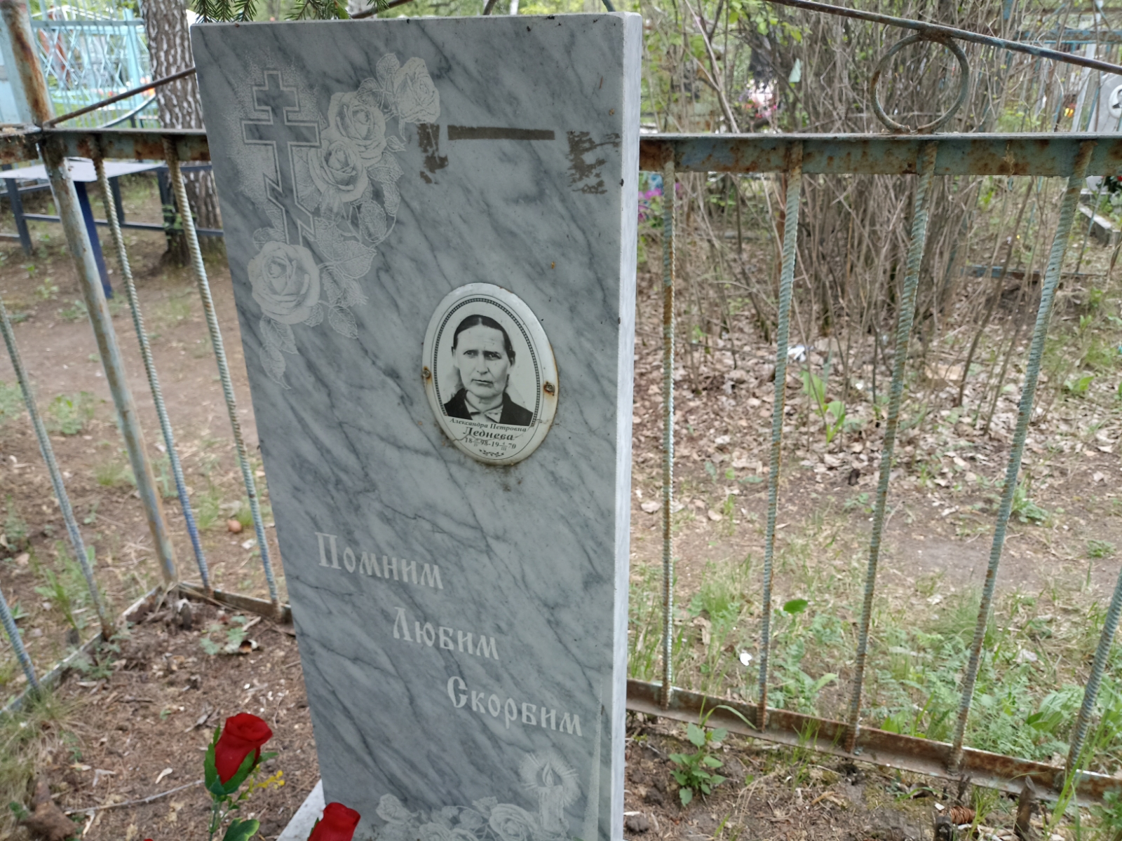 Леднева Александра Петровна