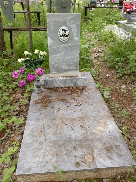 Сурнин Виталий Иванович